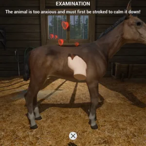 My Life: Farm Vet [PS5] - изображение 4