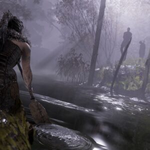 Hellblade: Senua’s Sacrifice  [PS4] - изображение 4