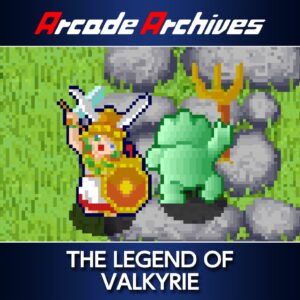 Arcade Archives THE LEGEND OF VALKYRIE [PS4]