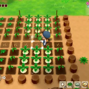 STORY OF SEASONS: Friends of Mineral Town [PS4] - изображение 2
