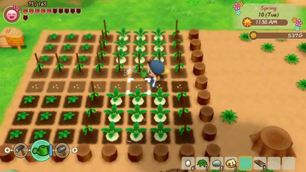 STORY OF SEASONS: Friends of Mineral Town [PS4] - изображение 2