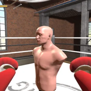 Boxer [PS4] - изображение 2
