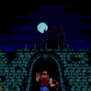 Castlevania Anniversary Collection [PS4] - изображение 2