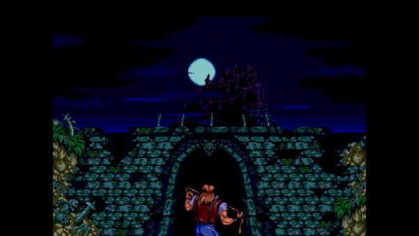 Castlevania Anniversary Collection [PS4] - изображение 2