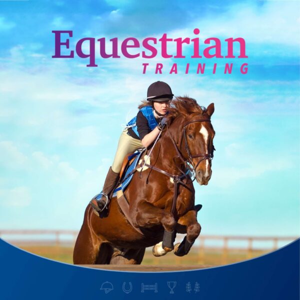 Equestrian Training [PS4] - изображение 1