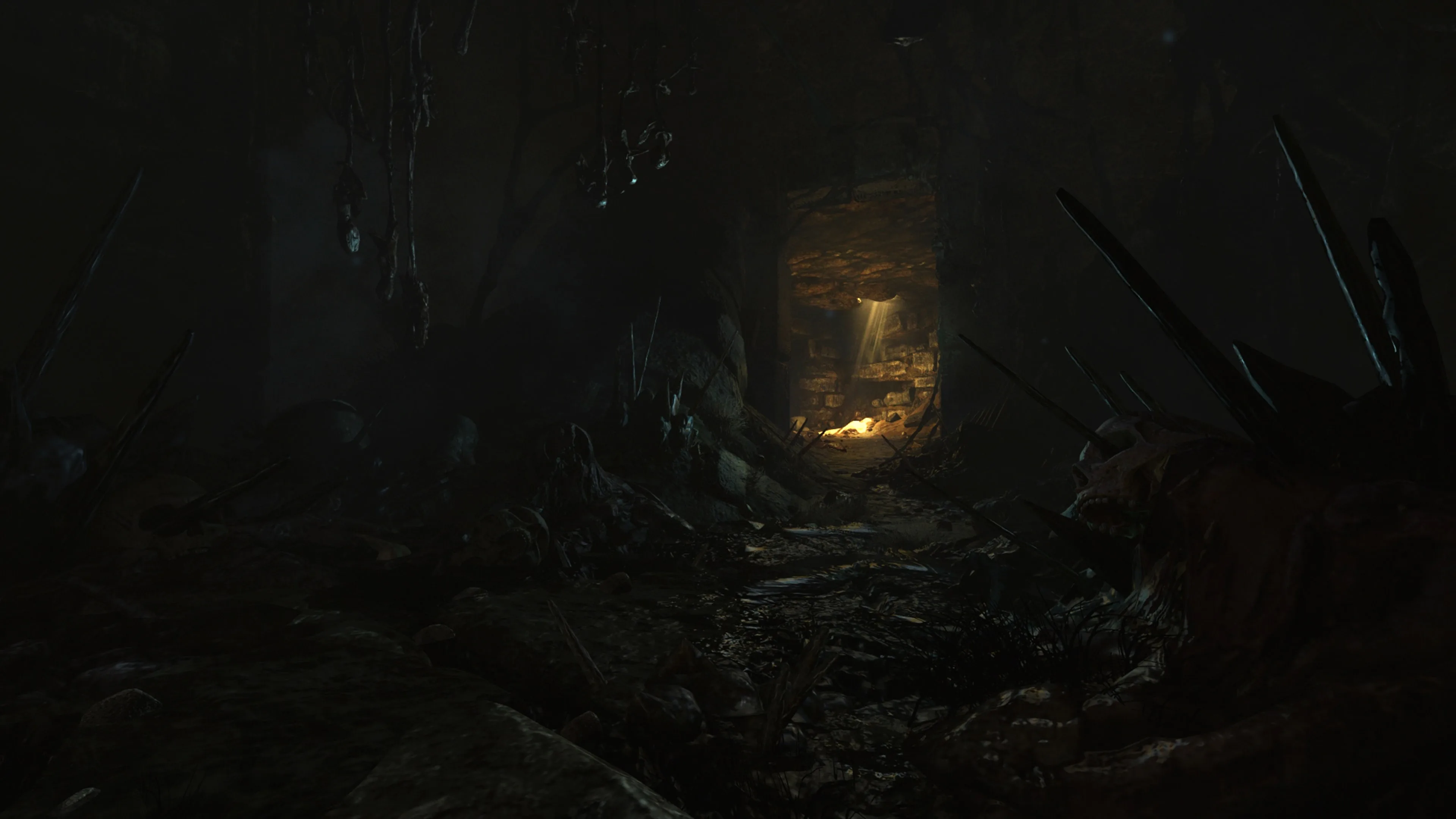 Amnesia: Rebirth [PS4] - изображение 2