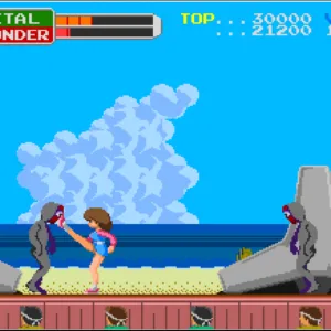 Arcade Archives WONDER MOMO [PS4] - изображение 2