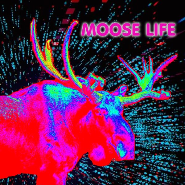 Moose Life [PS4] - изображение 1