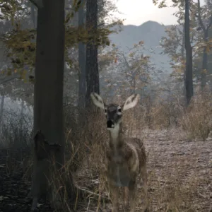 Pro Deer Hunting 2 [PS4] - изображение 3