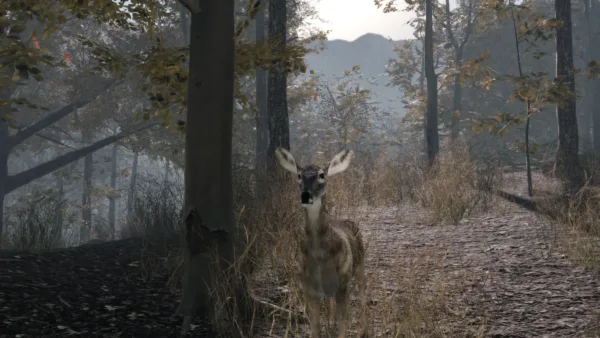 Pro Deer Hunting 2 [PS4] - изображение 3