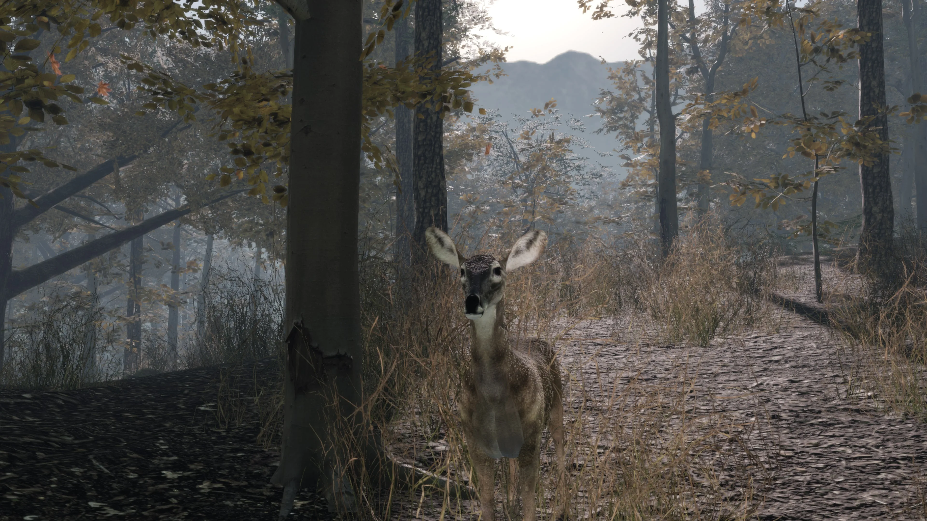 Pro Deer Hunting 2 [PS4] - изображение 3