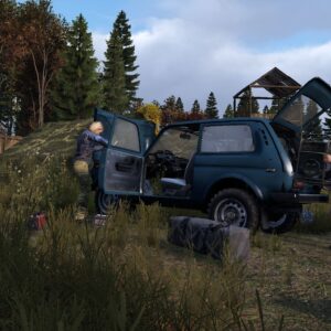 DayZ [PS4] - изображение 3