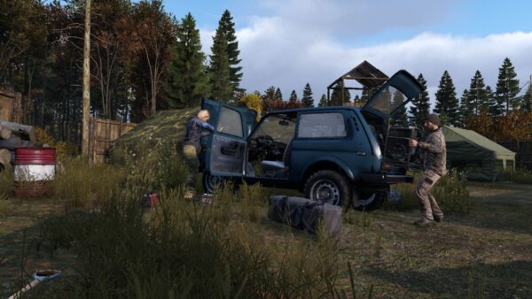 DayZ [PS4] - изображение 3