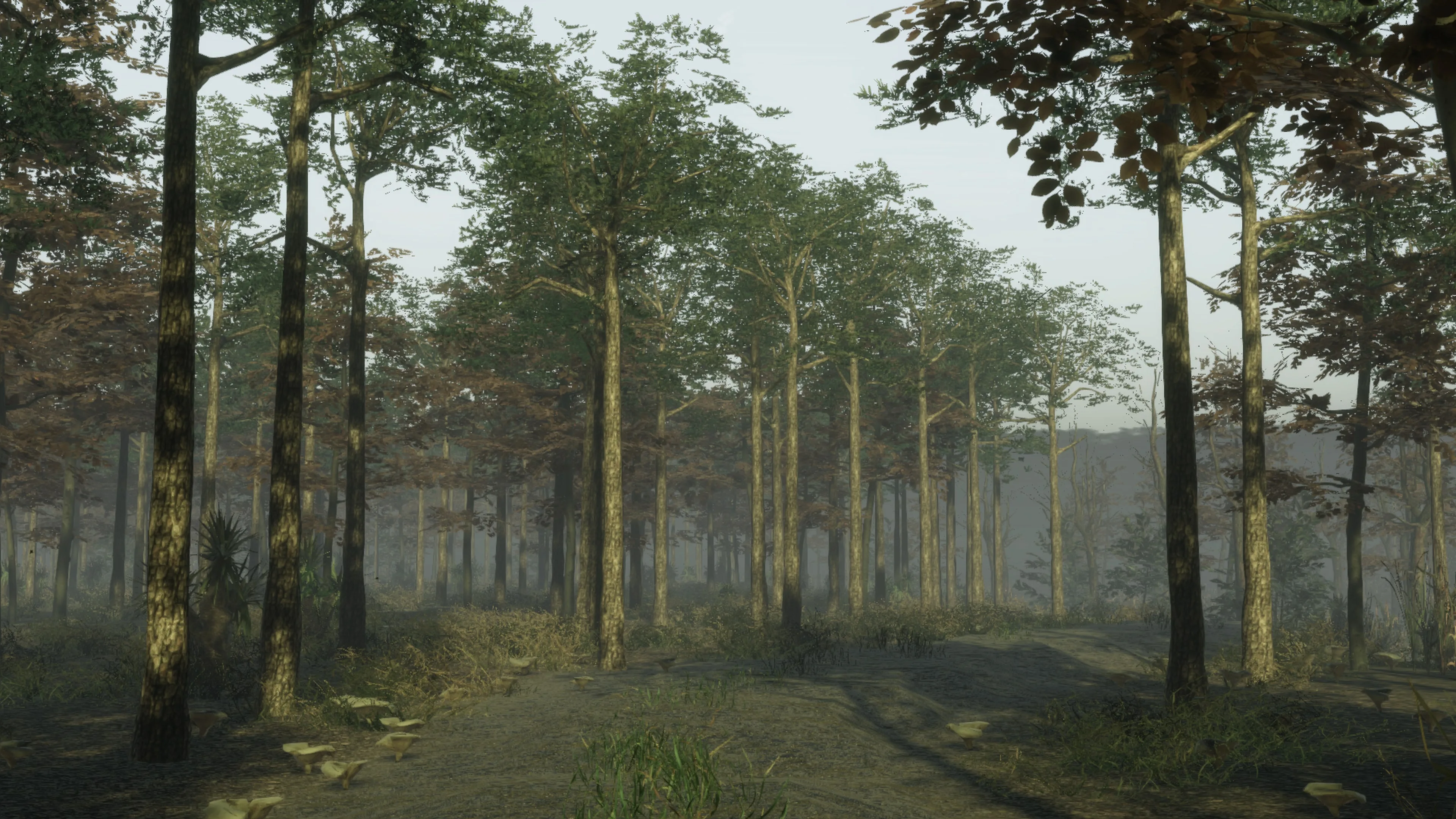 Pro Deer Hunting 2 [PS4] - изображение 4