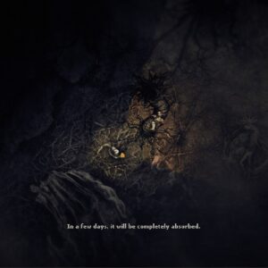 Darkwood [PS5] - изображение 4