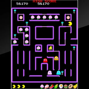 Arcade Archives SUPER PAC-MAN [PS4] - изображение 3