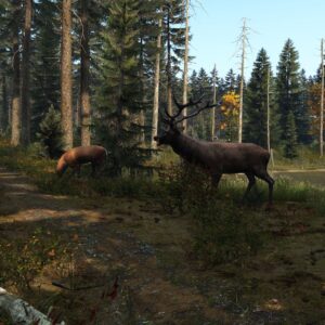 DayZ [PS4] - изображение 2