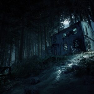 Blair Witch Deluxe Edition [PS4] - изображение 3
