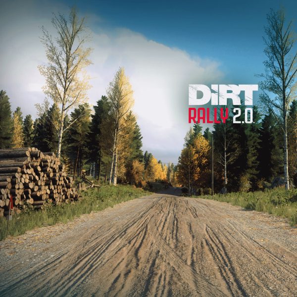 DiRT Rally 2.0 - Finland (Rally Location) [PS4] - изображение 1