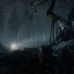 Blair Witch Deluxe Edition [PS4] - изображение 4