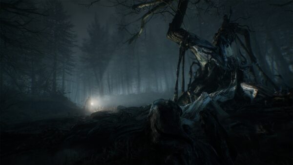 Blair Witch Deluxe Edition [PS4] - изображение 4