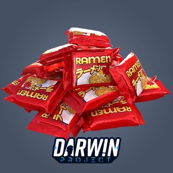 Darwin Project - Ramen Dinner - изображение 1