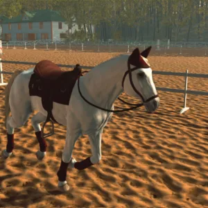 Gallop Glory: Obstacle Racing & Horse Simulator [PS4] - изображение 3