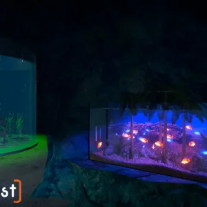 Aquarist [PS4] - изображение 2