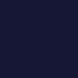 Stroke The Koala [PS5] - изображение 2