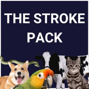 The Stroke Pack [PS4,&nbsp;PS5] cover