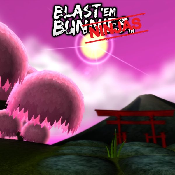 BEB: Ninja Arena Pack [PS4] - изображение 1