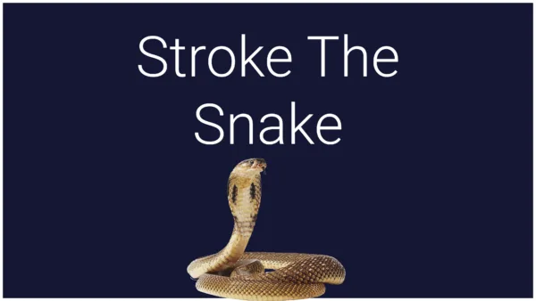 Stroke The Snake [PS5] - изображение 2