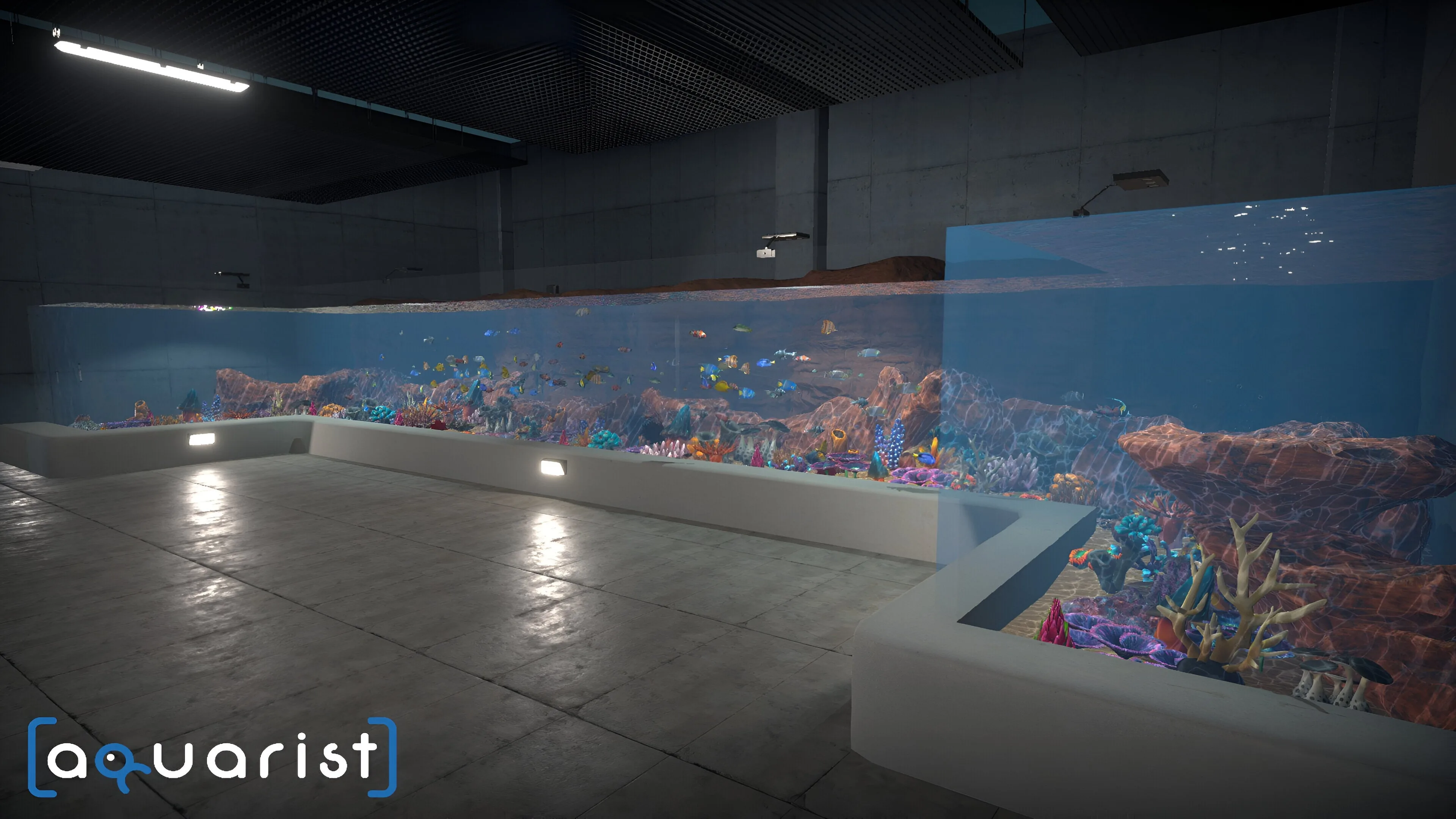 Aquarist [PS4] - изображение 4