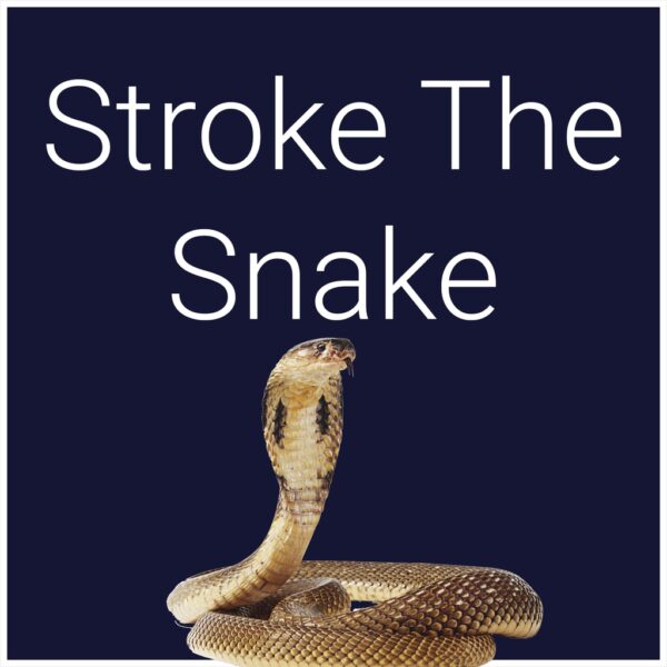 Stroke The Snake [PS5] - изображение 1