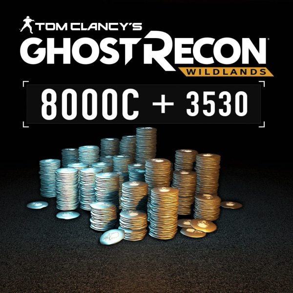 Extra Large Pack 11530 GR Credits - изображение 1