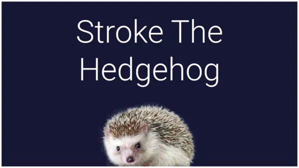 Stroke The Hedgehog [PS5] - изображение 2