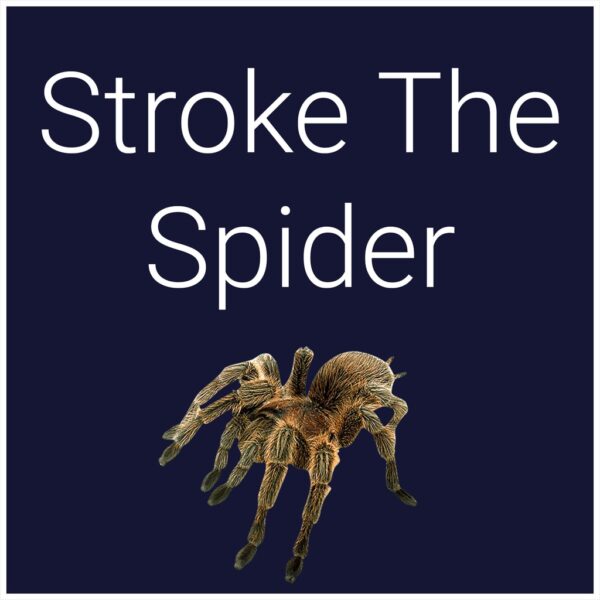 Stroke The Spider [PS5] - изображение 1