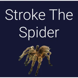 Stroke The Spider [PS5] - изображение 2