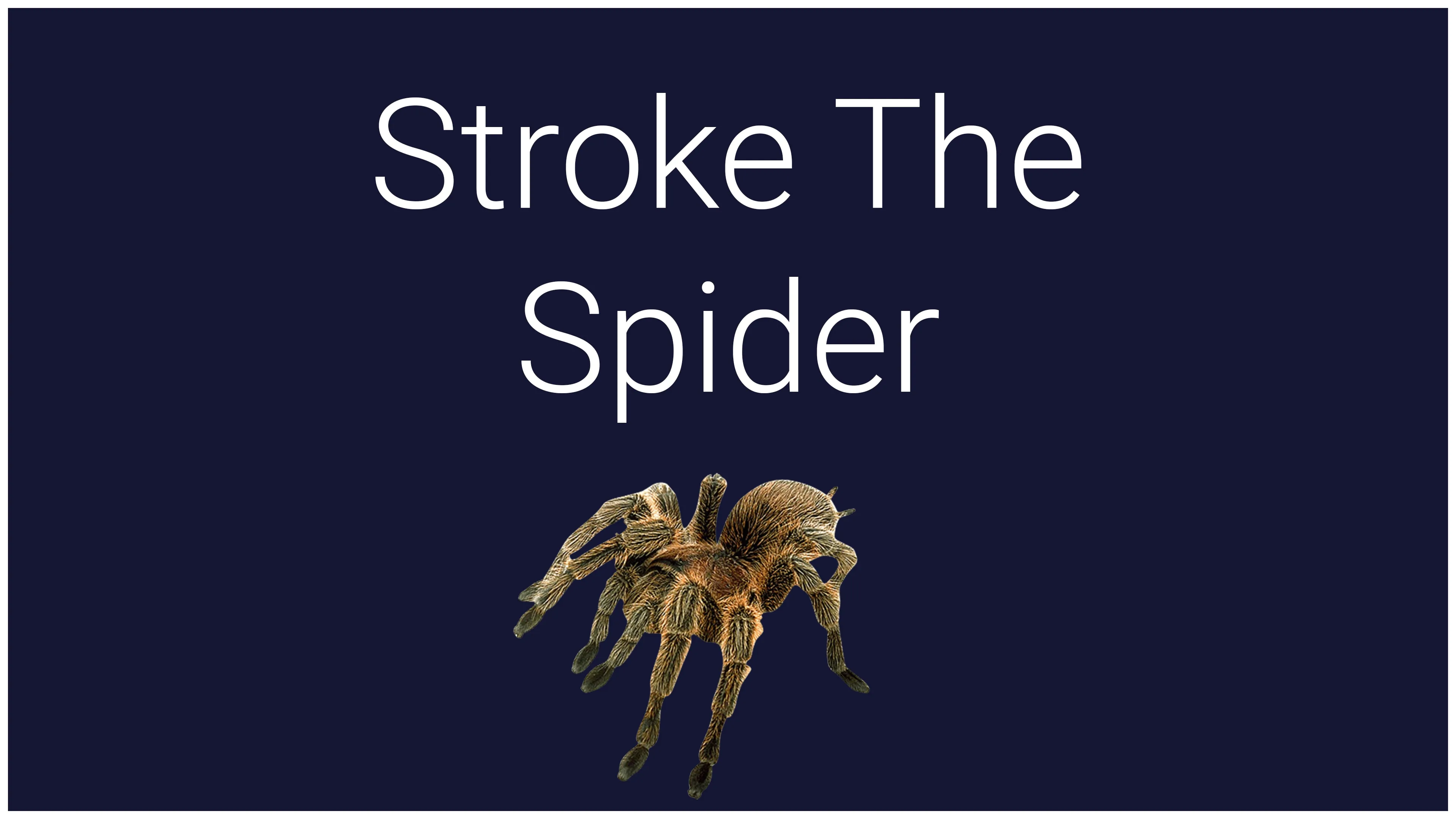 Stroke The Spider [PS5] - изображение 2