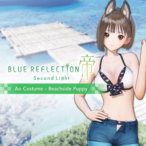 Ao Costume - Beachside Puppy [PS4]