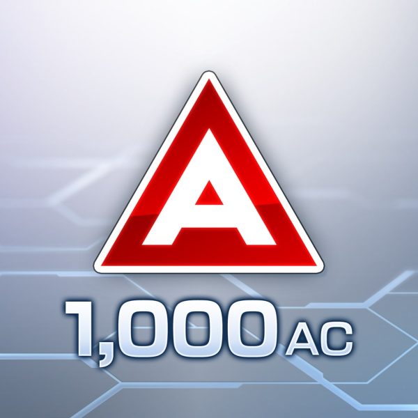 1000AC Exchange Ticket - изображение 1