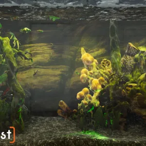 Aquarist [PS4] - изображение 3