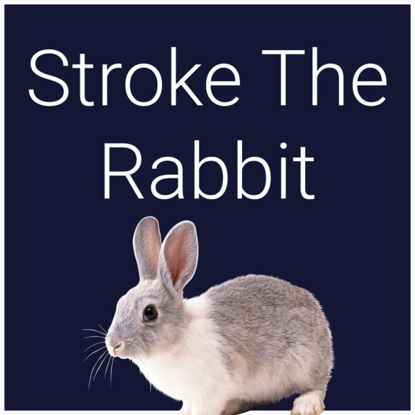 Stroke The Rabbit [PS5] - изображение 1