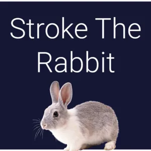 Stroke The Rabbit [PS5] - изображение 2