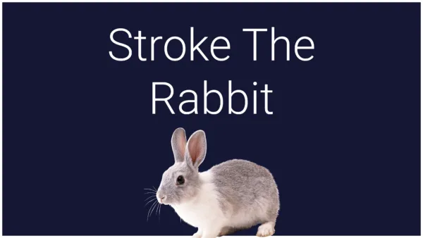 Stroke The Rabbit [PS5] - изображение 2
