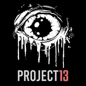 Project 13 [PS4] cover