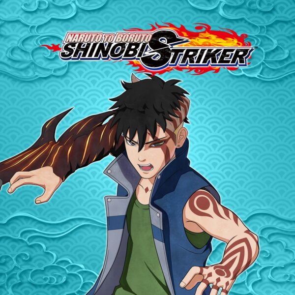 NTBSS: Master Character Training Pack - Kawaki (Karma Progression) [PS4]