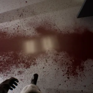 Project 13 [PS5] - изображение 2