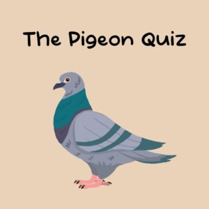 The Pigeon Quiz [PS5] cover