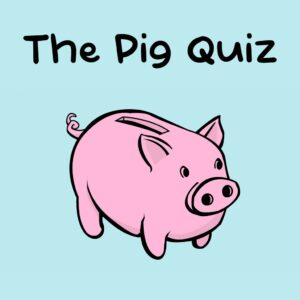 The Pig Quiz [PS5] cover